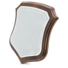 Gadżety reklamowe: modern shield-shaped trophy for sublimation
