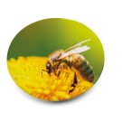 Gadżety reklamowe z logo dla firmy (Button III. Button pin)