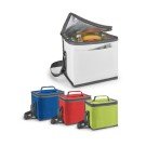 Gadżety reklamowe z logo dla firmy (SINGAPORE. Cooler bag 9 L)