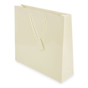 Gadżety reklamowe: plastified gift bag