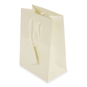 Gadżety reklamowe: plastified gift bag